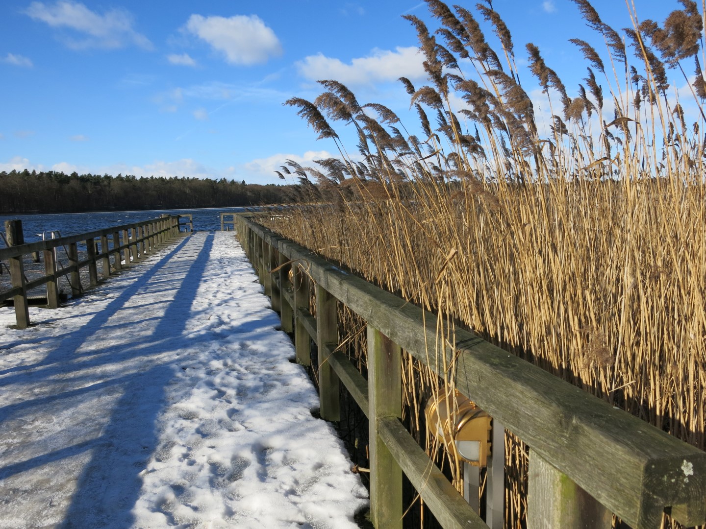 Holzstege bauen: Wenn sie im Frühjahr bauen möchten, sollten sie jetzt planen und einkaufen.