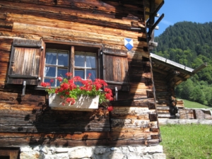 Baustoff Holz in den Alpen
