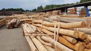 Robinienholz Rundholz