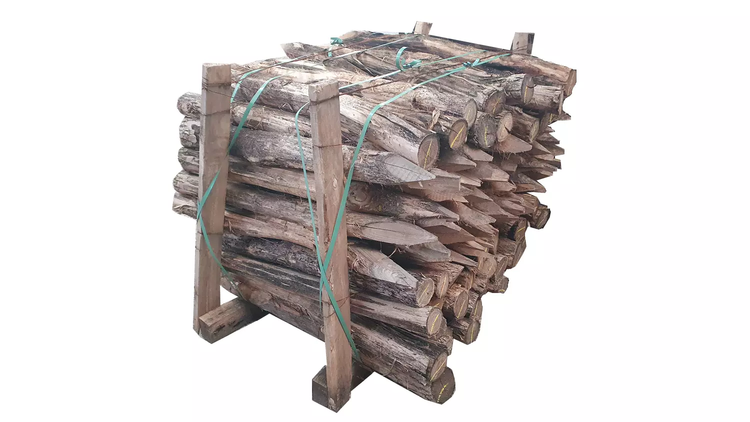 100 Stück Robinienpfähle Ø ca. 9 cm auf Palette, geschält/gespitzt, Länge 1,00m